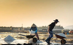 汽車的前驅和后驅的區別和優缺點