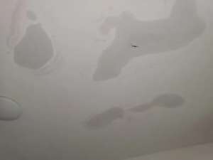 屋頂漏水zui實(shí)用的解決辦法！