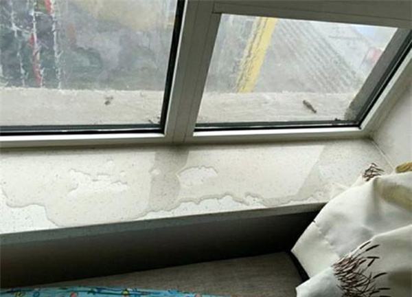 窗戶邊緣總是滲水怎么辦?